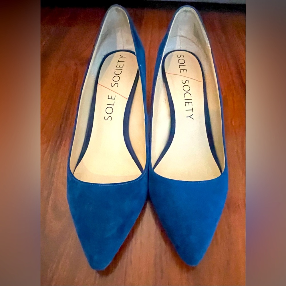 Sole Society Blue Wedges